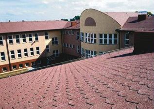 96565389533539267091_z2_1_