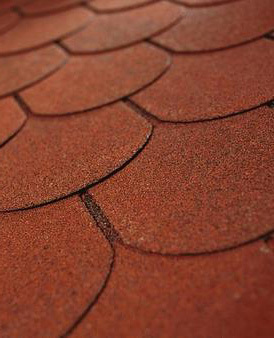 97483526809567848273_gonty_asfaltowe_1_