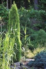 Profesjonalne projektowanie i urządzanie ogrodów Olsztyn