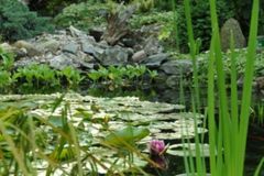 Zakładanie oczka wodnego Olsztyn