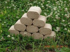 Brykiet dębowy ZŁOTY SĘK 