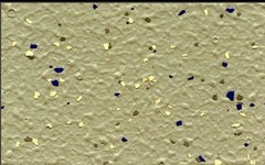 Systemy decoracji / Dune