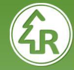 Rudbekia - Rudbeckia fulgida 