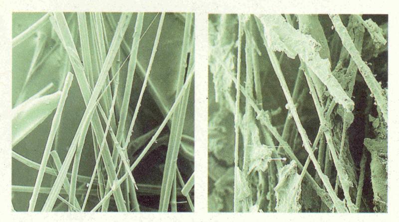 Podłoże BIOROCK&reg; Media przed i po wykształceniu się biofilmu