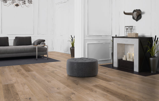 forest_velvet_summer