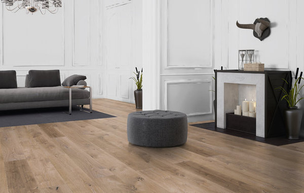 forest_velvet_summer