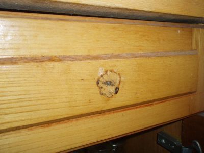 Gł&oacute;wka tego wkrętu do drewna jest złamana.