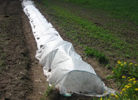 Konstrukcja ze schylonych pręt&oacute;w i ułożonych na nich folia