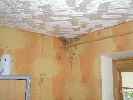 Pleśń na ścianach mieszkania