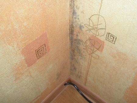 Pleśń na ścianach mieszkania