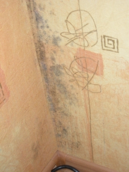 Pleśń na ścianach mieszkania