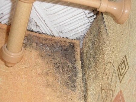 Pleśń na ścianach mieszkania