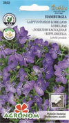 LOBELIA HAMBURGIA