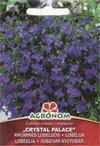 PRZYLĄDKOWA LOBELIA CRYSTAL_PALACE