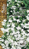 PRZYLĄDKOWA LOBELIA WHITE_CASCADE