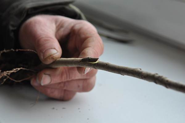 Wkładanie oczka Wkładanie oczka