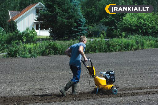 Kultywowanie rzędami