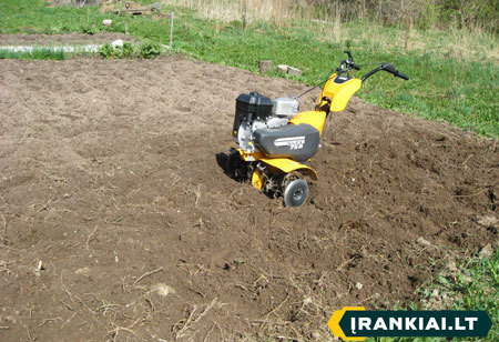 Usuwanie korzeni i ponowne kultywowanie