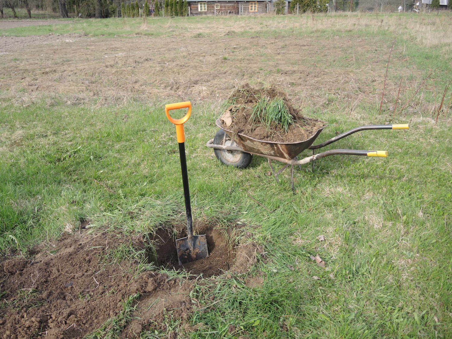 Przygotowanie dołka pod sadzenie sadzonki