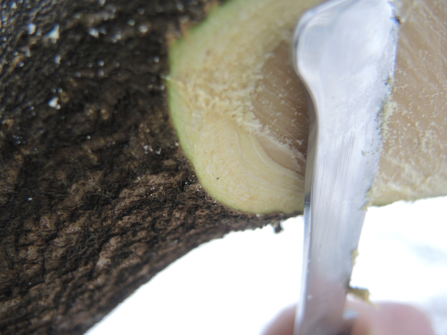 Przycinanie drzew owocowych