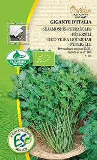 PIETRUSZKA NASIONA GIGANTE D ITALIA