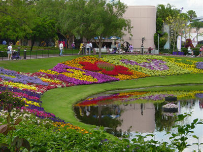 Kolorowy kwietnik Kolorowy kwietnik