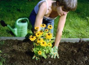 Sadzenie kwiatów Sadzenie kwiatów