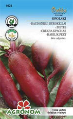 CZERWONE BURAKI OPOLSKI