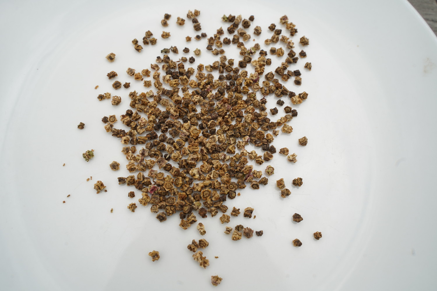 Nasiona burak&oacute;w