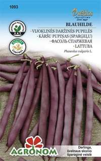 OGRODOWA TYCZNA FASOLA BLAUHILDE