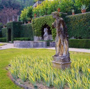 Pielęgnacja żywopłotu