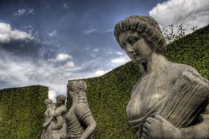 Żywopłoty chroniące przed wiatrem