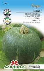 OLBRZYMIA DYNIA AMBAR