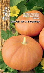 OLBRZYMIA DYNIA ROUGE VIF D ETAMPES