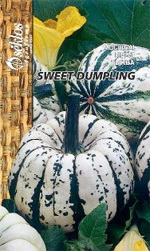 OLBRZYMIE DYNIE SWEET DUMPLING