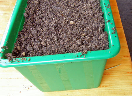 Przygotowana ziemia Przygotowana ziemia