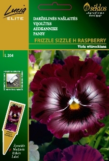 OGRODOWY BRATEK FRIZZLE SIZZLE H RASPBERRY