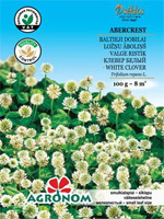 KONICZYNA BIAŁA ABERCREST