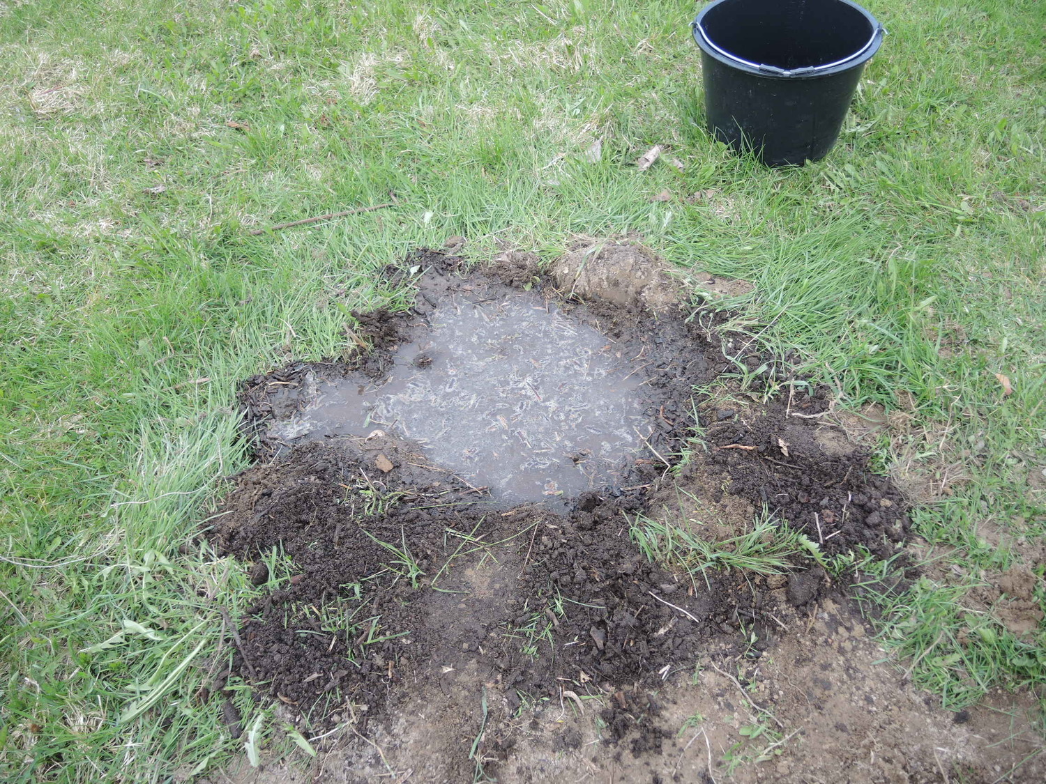 Przygotowanie dołka pod sadzenie sadzonki