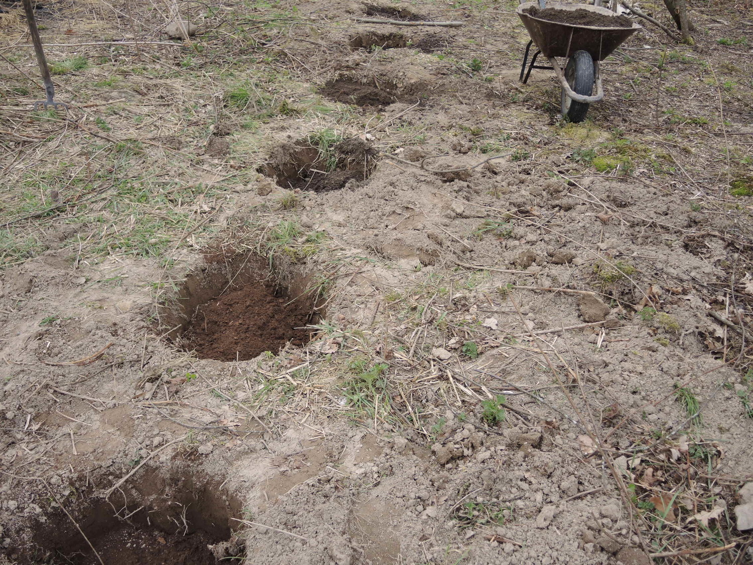 Przygotowanie dołka