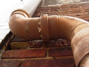 Rynny i ich dob&oacute;r